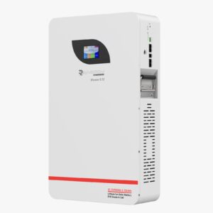 5KWH 51.2V RENERGY LITHIUM BATTERY